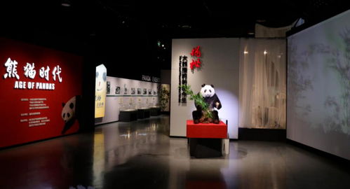 奧斯卡獎級別盛宴 十大精品陳列揭曉 數(shù)字創(chuàng)意展覽引領(lǐng)世界